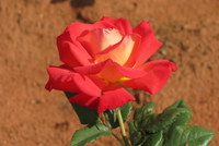 Klerksdorp horizon